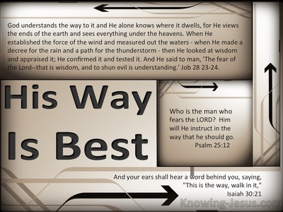Job 25:21 His Way Is Best (devotional) (beige)